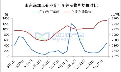 “玉米市場漲看山東，跌看廣東”這句老話如今還適用嗎？