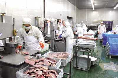 豐都構建“三大體系”打通發(fā)展瓶頸，以“三步走”探索食品及農產品加工高質量發(fā)展新路徑
